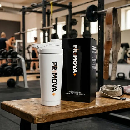 Stainless Steel Shaker